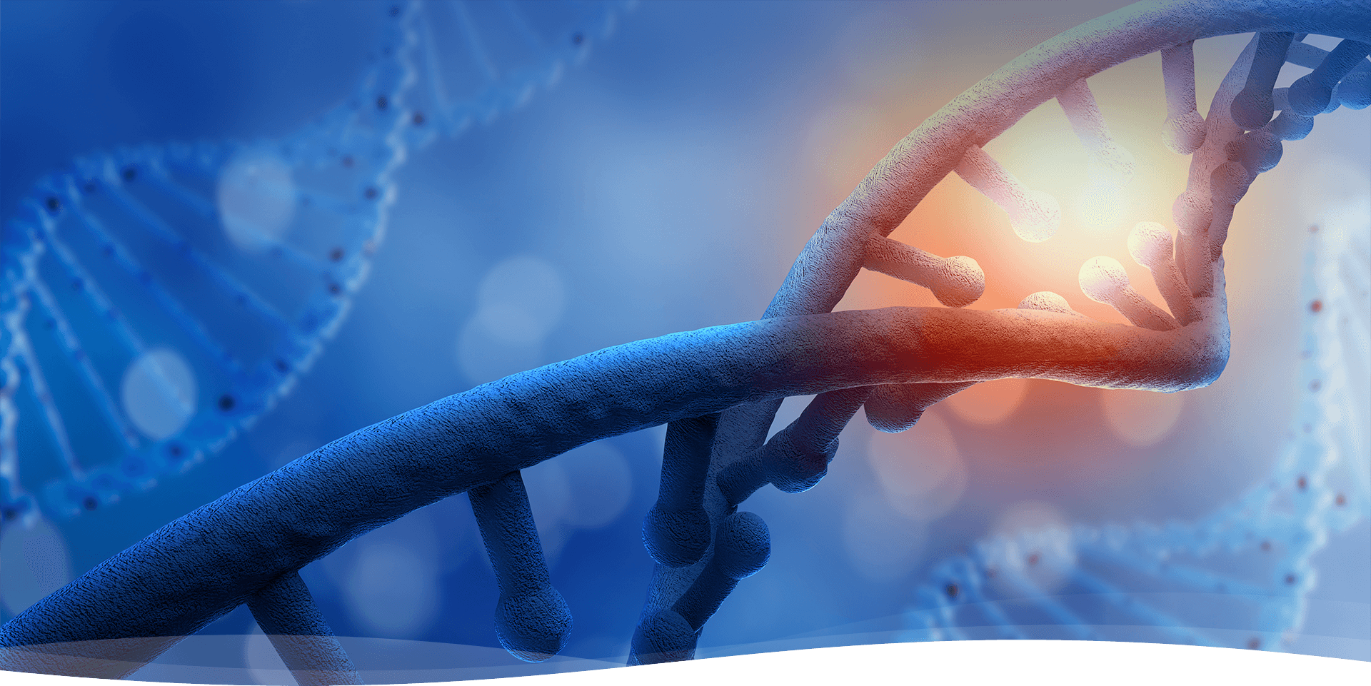 致力于成為最優(yōu)質(zhì)產(chǎn)品和服務供應商